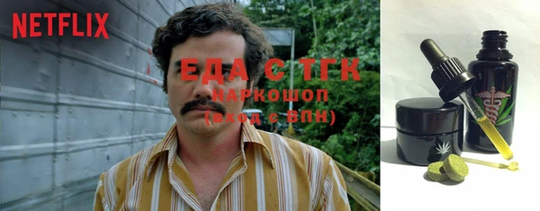 стафф Ельня