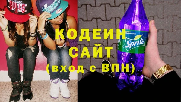 Альфа ПВП Елизово
