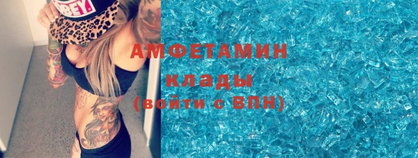 стафф Ельня