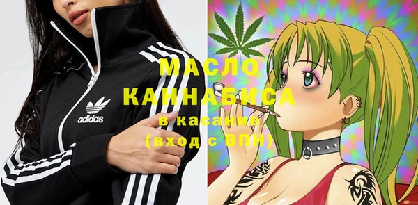 стафф Ельня