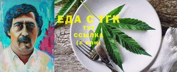 стафф Ельня