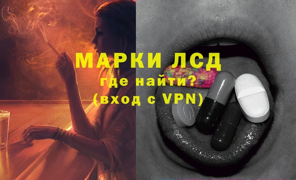 стафф Ельня