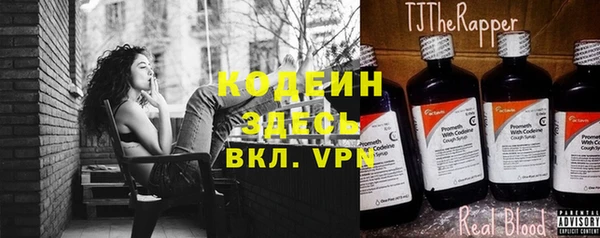 Альфа ПВП Елизово