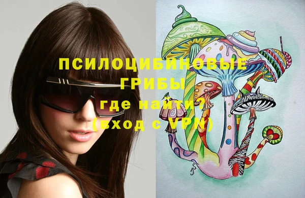 стафф Ельня