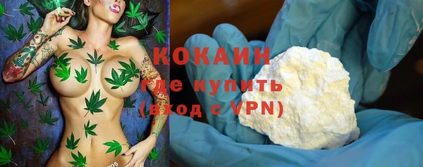 стафф Ельня