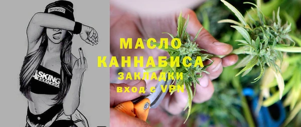 стафф Ельня